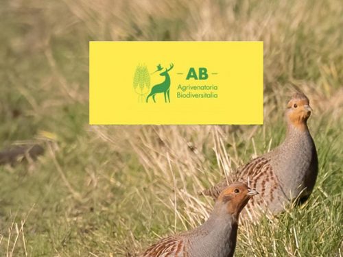 PARERI SULLA STARNA. AGRIVENATORIA BIODIVERSITALIA CHIEDE SPIEGAZIONI AD ISPRA