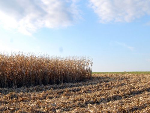 FACE SULLA BIODIVERSITA’ IN EUROPA