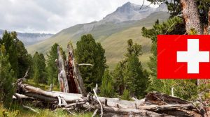 SVIZZERA: SALTA L’ABOLIZIONE DELLA CACCIA SPECIALISTICA