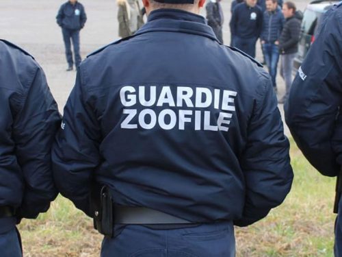 CASSAZIONE CONFERMA: NO A VIGILANZA VENATORIA DELLE GUARDIE ZOOFILE